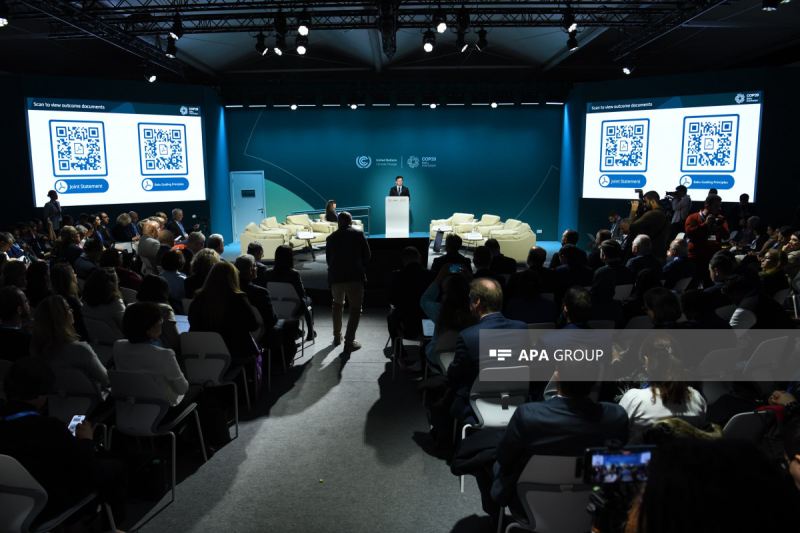 COP29 çərçivəsində İqlim Dayanıqlı Gələcək üçün İnsan İnkişafına İnvestisiya üzrə tədbir keçirilir 