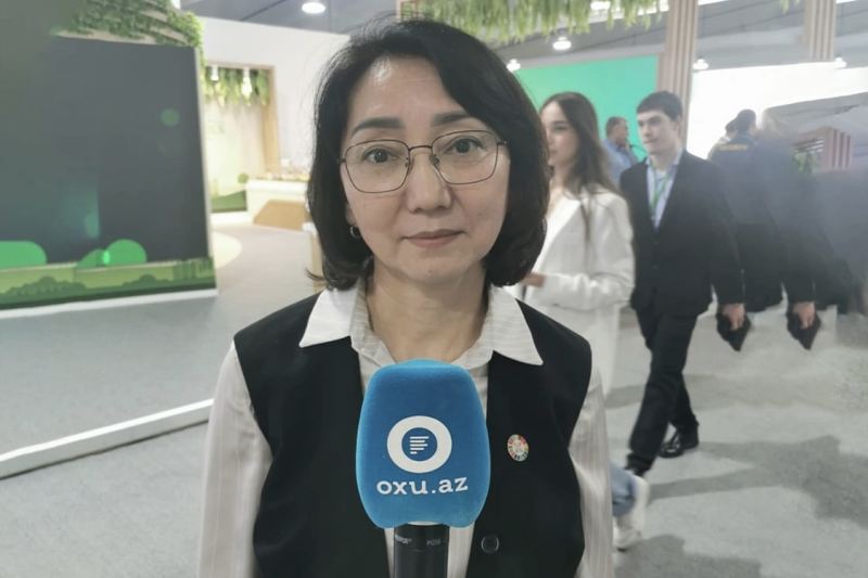 Gülbarə Sultanova: \"Bir ölkədə baş verən ekoloji dəyişiklik digərlərinə də təsir edir\" 
