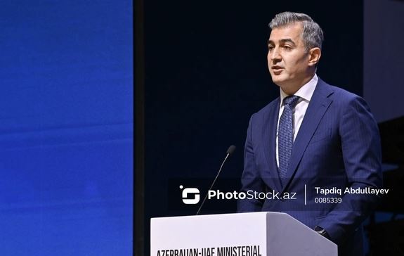 Vüsal Hüseynov: \"İqlimlə bağlı fəlakətlər illik yerdəyişmələrin artmasına səbəb olur\" 
