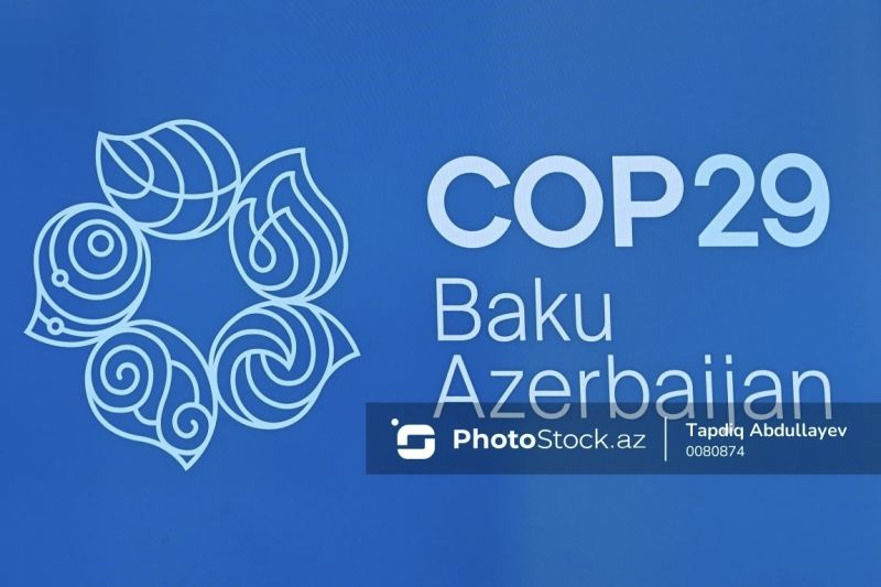 COP29-da türk dövlətləri QHT-lərinin birgə iqlim təşəbbüslərinə dair forum keçirilib 