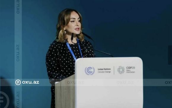 Deputat: \"İqlim dəyişikliyi ilə mübarizəyə yönəlmiş səmərəli proqramlar hazırlanmalıdır\" 