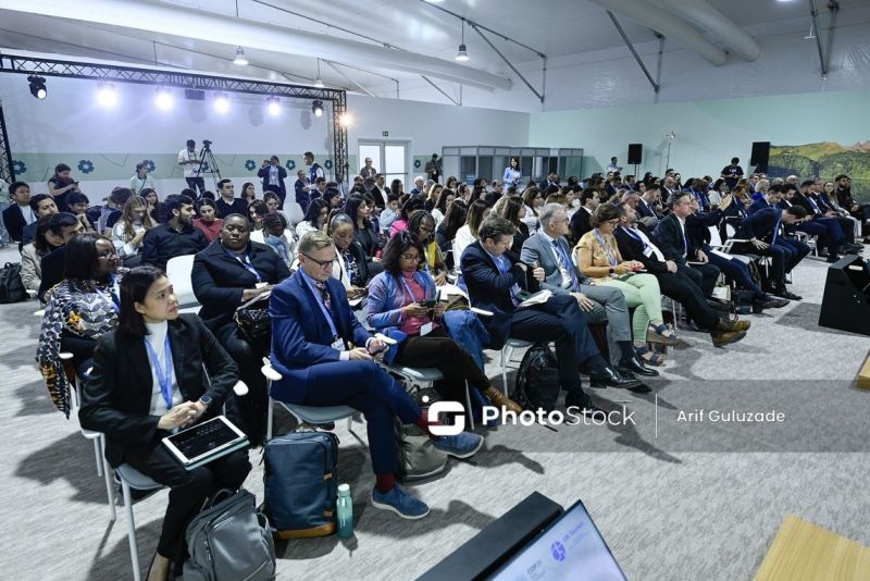 COP29-un Yaşıl Zonasında turizm sektoru ilə bağlı tədbir keçirilib 