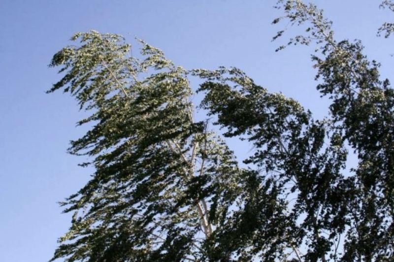Küləkli hava şəraiti ilə bağlı XƏBƏRDARLIQ 