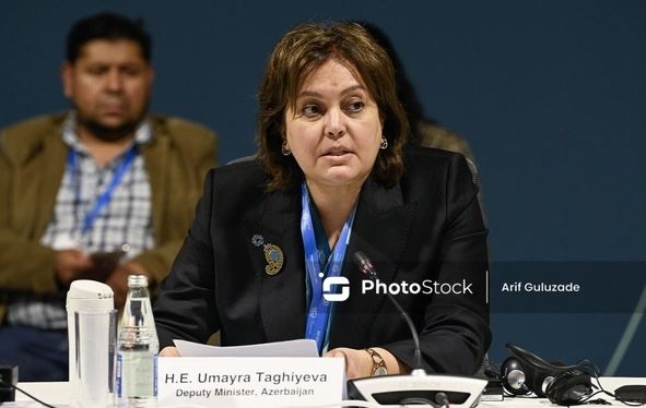 Umayra Tağıyeva: \"420 milyon hektardan çox meşə sahəsi itirilib\" 