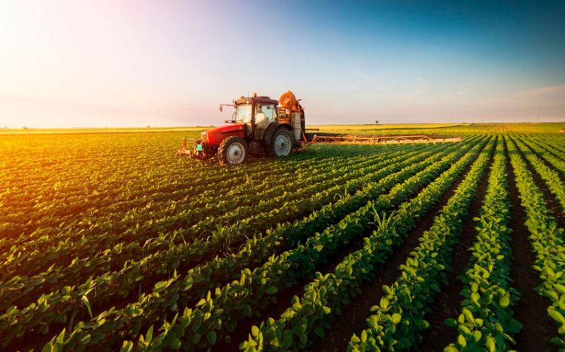 FAO: Azərbaycana kənd təsərrüfatının davamlı inkişafı üçün platforma lazımdır 