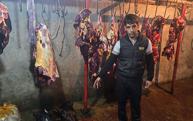 Əhaliyə at əti satanlar tutuldu - Fotolar 