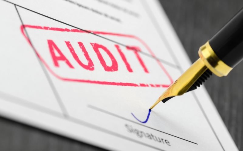 Dövlət Ehtiyatları Agentliyi auditor seçib 