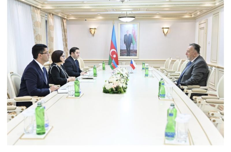 M.Sedlaçek: COP29 iqlim dəyişikliyi ilə bağlı qlobal əməkdaşlığın gücləndirilməsinə mühüm töhfə verəcək