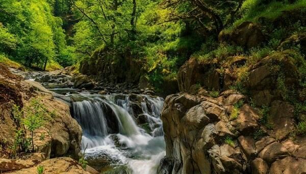 İstirahət günlərində milli parklarda hava necə olacaq? 