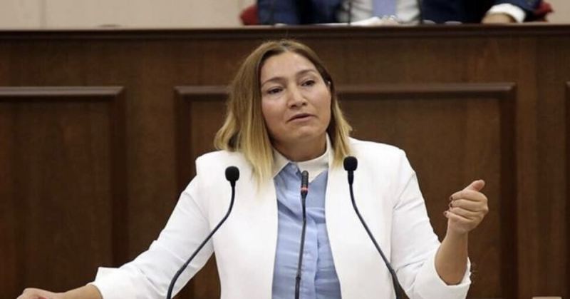 Yasemi Öztürk: \"Şimali Kipr türk dünyası üçün vacib amildir\" 