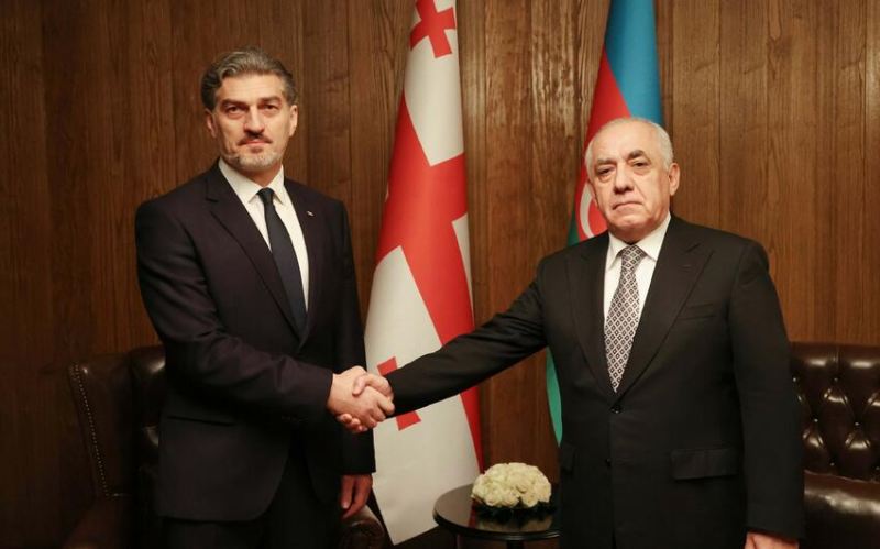 Əli Əsədov Gürcüstan Prezidenti ilə görüşdü 