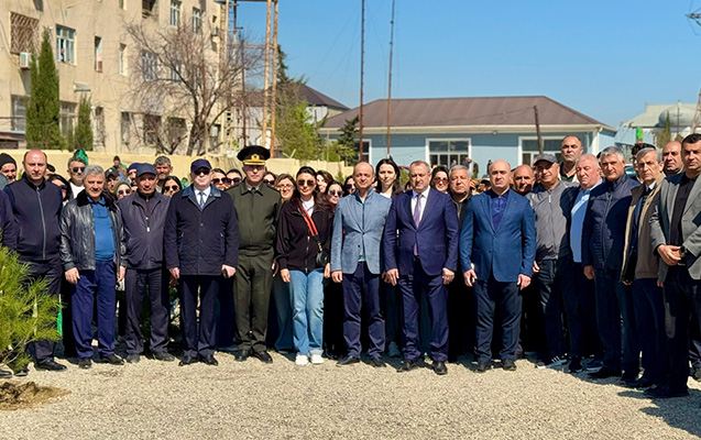 Suraxanıda ağacəkmə aksiyası keçirildi 