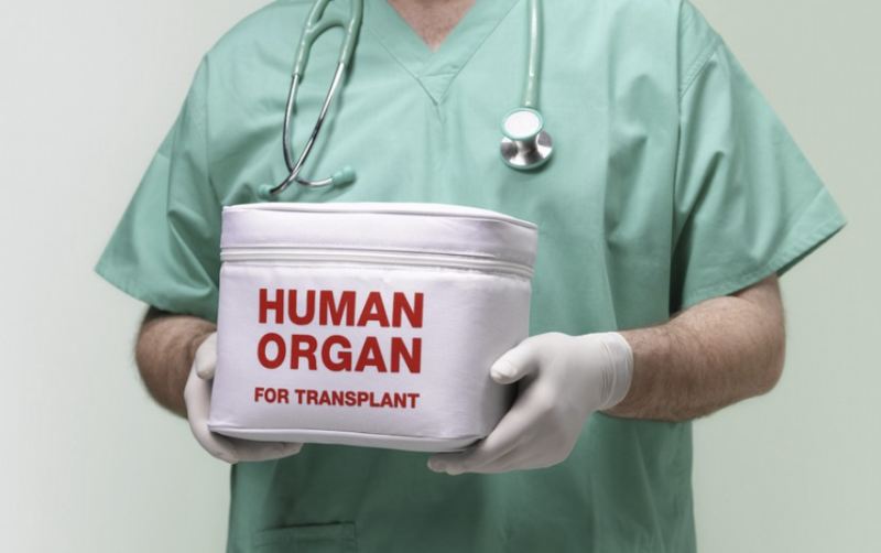 Bir meyit donorun orqanları 3 şəxsə köçürüldü - Azərbaycanda ilk 