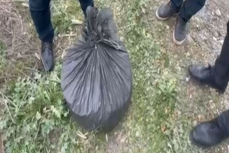 Polis Şamaxıda 8 kiloqram narkotik aşkarlayıb - FOTO 