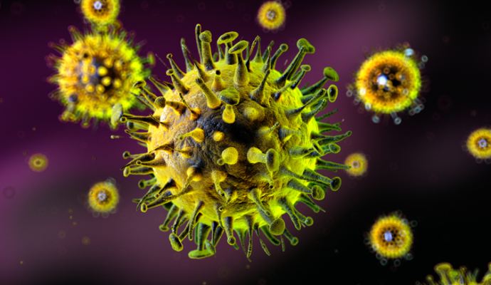 \"Yeni virusun təsiri koronavirus qədər ciddi ola bilər\" - Həkim xəbərdarlıq etdi