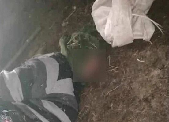 Gədəbəydə başına kisə keçirilən qadın öldü - Cinayətin üstü açıldı 