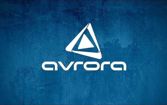 “Avrora Qrup” Qurban Bayramı münasibətilə yardım aksiyası keçirib 