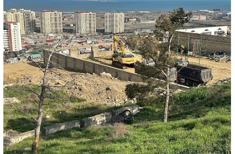 Badamdarda sürüşmə zonasında 40 illik şam ağacları məhv edildi — Yerində obyekt tikən kimdir? 