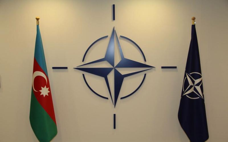 Azərbaycan və NATO arasında tərəfdaşlıq məsələləri müzakirə olundu 