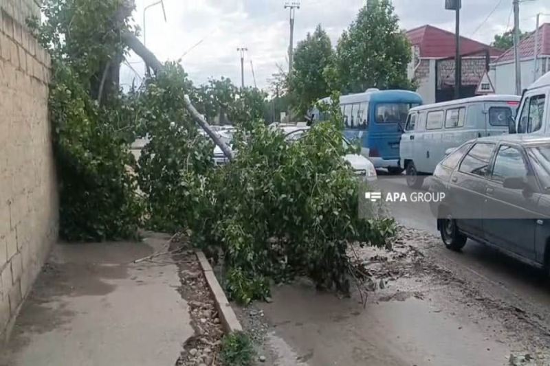 Gəncədə güclü külək və leysan fəsadlar törədib - FOTO 