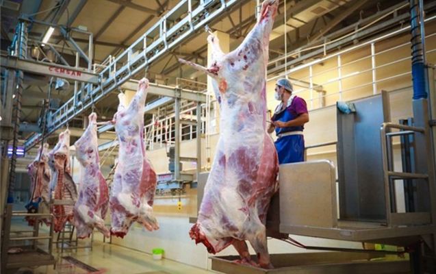 Qurbanlıq heyvanların satış və kəsim ünvanları açıqlandı 