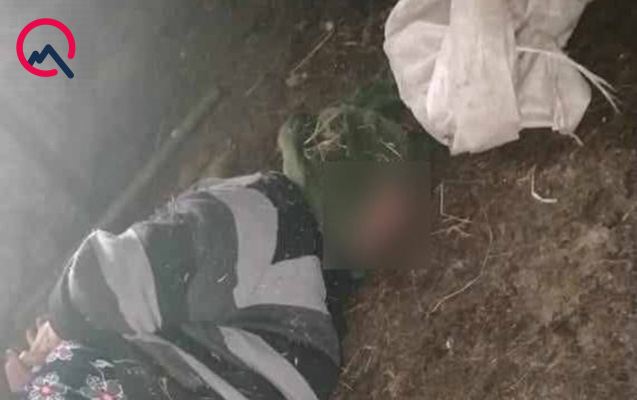 74 yaşlı qadının əl-ayağını bağlayıb başına kisə keçirdilər - Pullarını da oğurladılar 