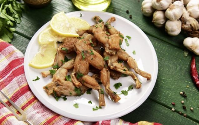 Restoranlarda verilən qurbağa əti ilə bağlı - Açıqlama 