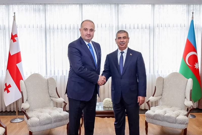 Azərbaycan və Gürcüstan müdafiə nazirləri görüşüblər 