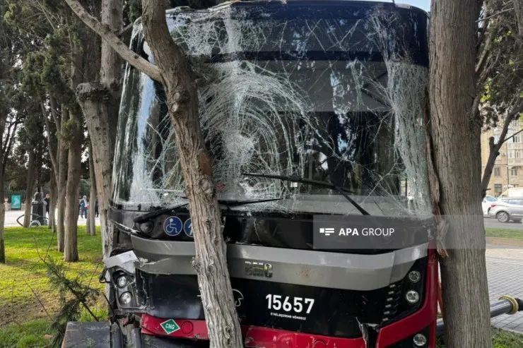 Bakıda sərnişin avtobusu ağaca çırpıldı - FOTOLAR 