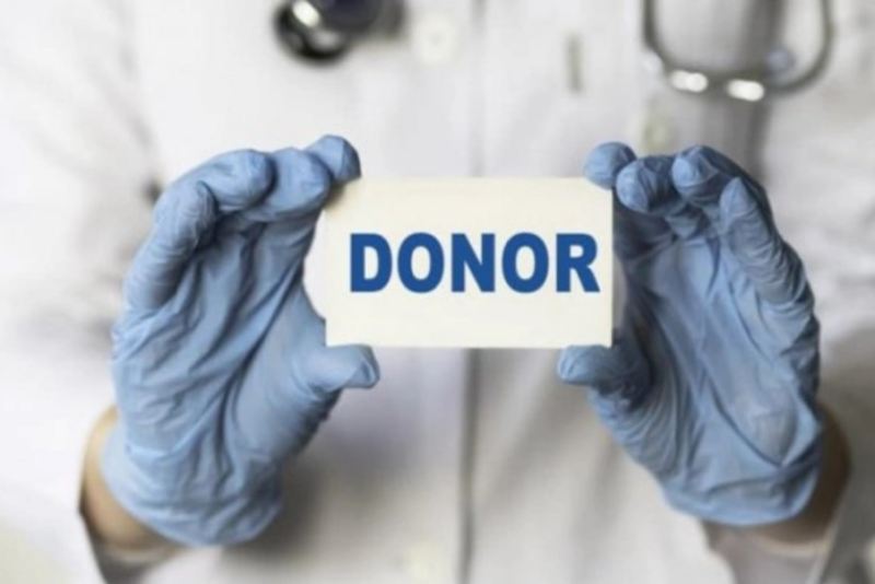 Azərbaycanda 544 nəfər ölümündən sonra donor olmaq üçün qeydiyyatdadır - RƏSMİ 