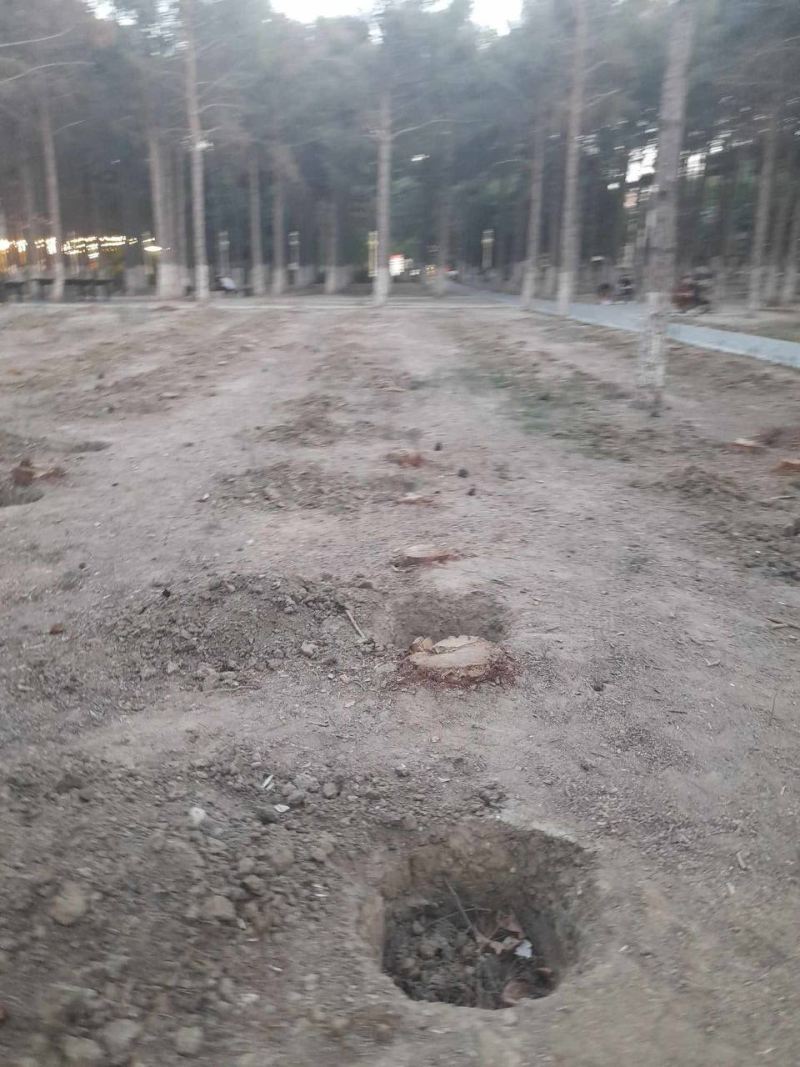 Xırdalanda Heydər Əliyev parkının ağaclarını doğradılar: Obyekt tikəcəklər... Fotolar