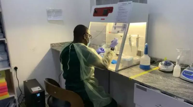 Nigeriyada Lassa qızdırması epidemiyası: 162 ölü 