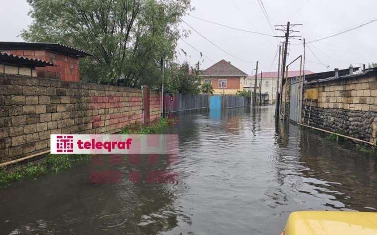 Lənkəranda evləri su basdı 