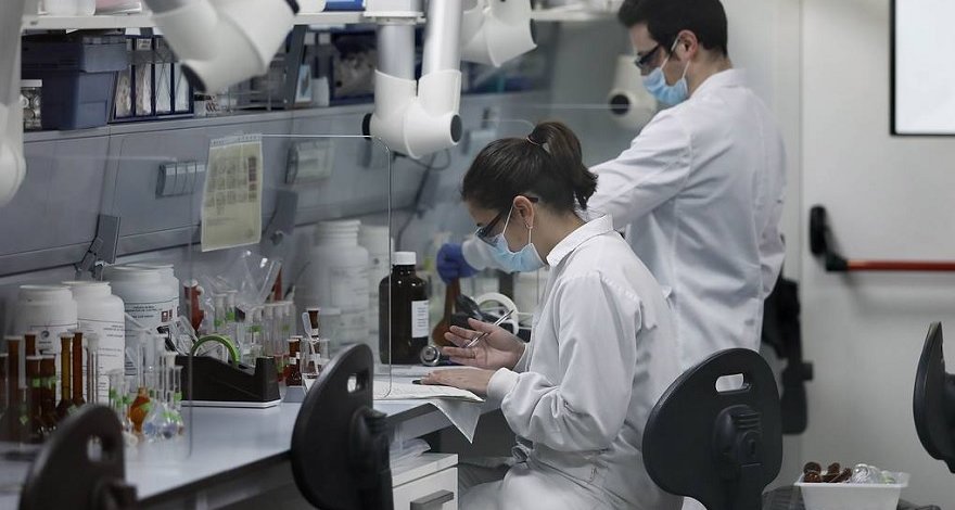 Распространения коронавируса в организме мыши сняли на видео
 