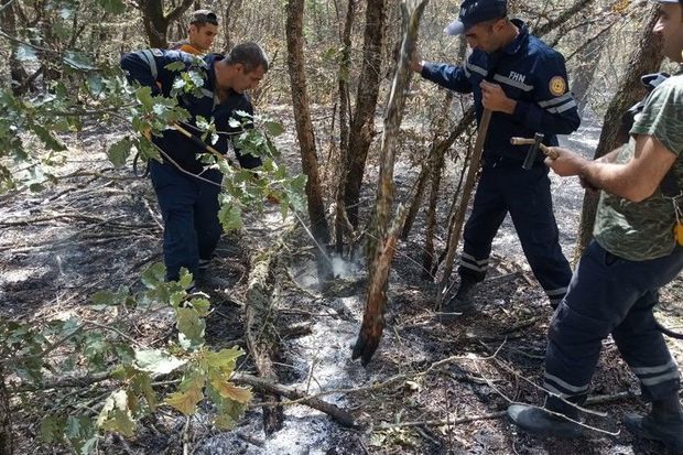 В Агдаме в лесном массиве горной местности произошел пожар - ФОТО/ВИДЕО