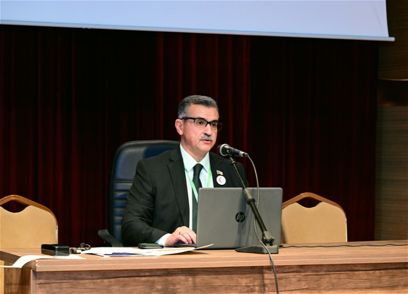 Новруз Аслан: Реализованные проекты в энергетике, транспорте и коммуникациях превратили Азербайджан в одну из ключевых сил регионального сотрудничества