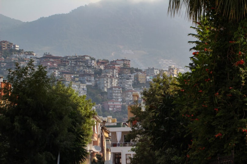 что влияет на рост цены и ликвидность в Алании