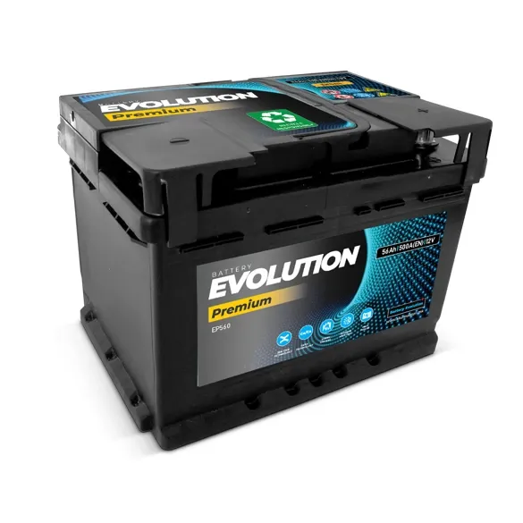 Evolution image