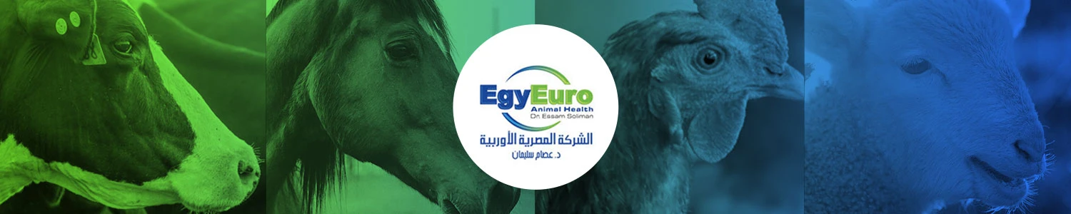 الشركة المصرية الأوروبية