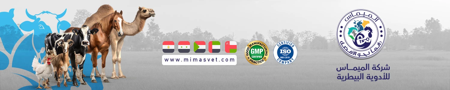 الميماس