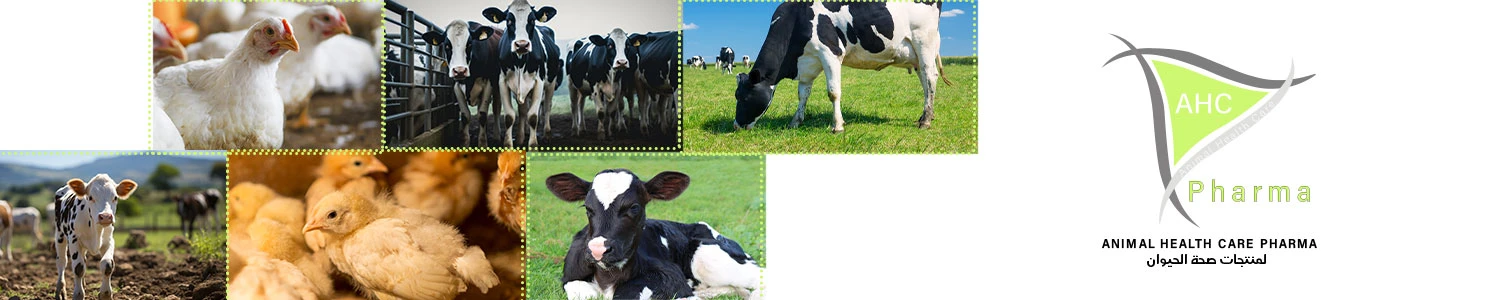 Animal Health care pharma