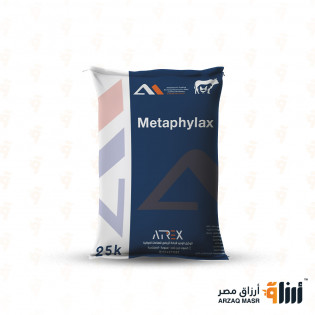 ميتافلاكس