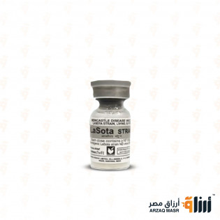 لاسوتا