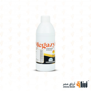 ميجازايم