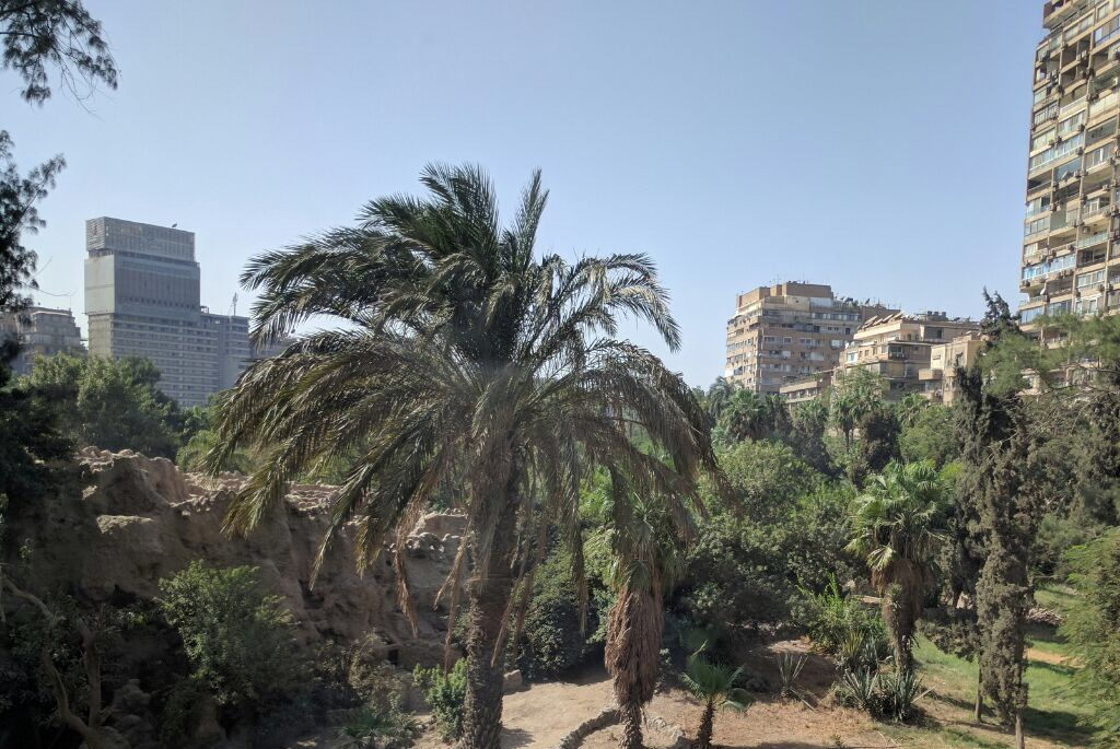South Zamalek | شقة