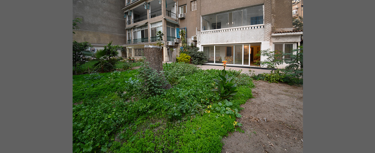  | Apartment
