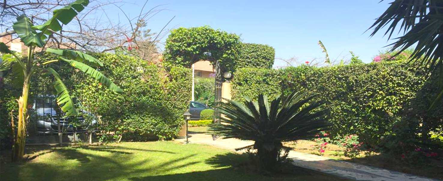 El Sheikh Zayed | Villa
