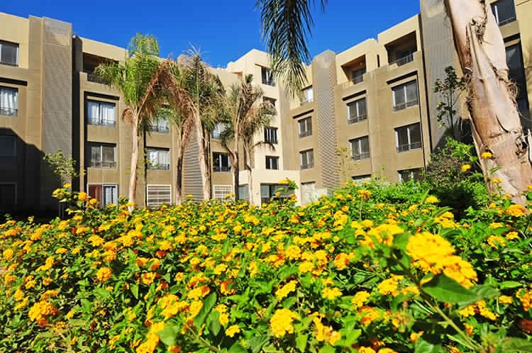 Palm Parks | Apartment
