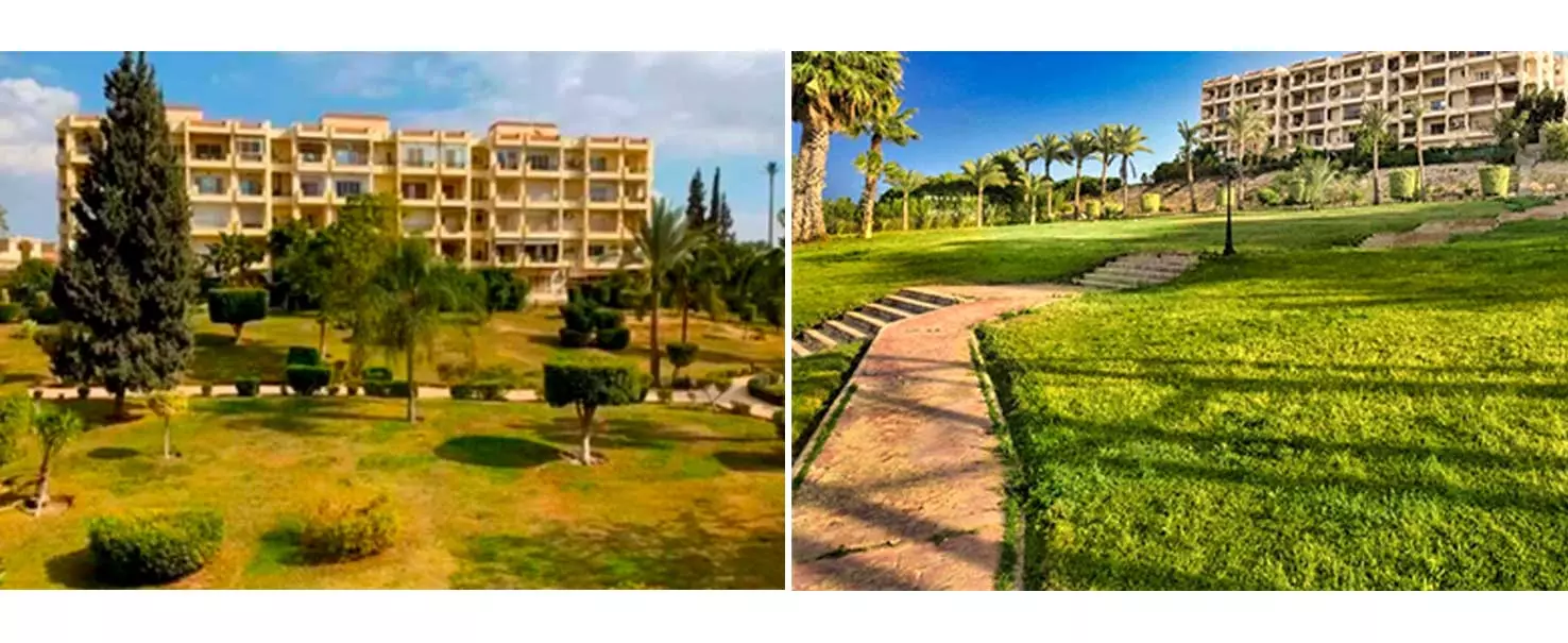 Zayed 2000 | Ground Floor