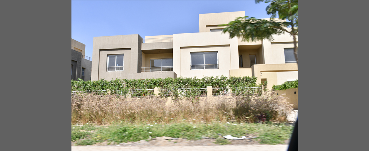 Palm Parks | Penthouse